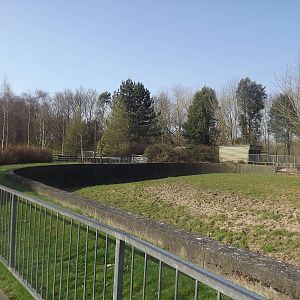 Zebra and Ostrich paddock at Blackpool Zoo 25/03/12