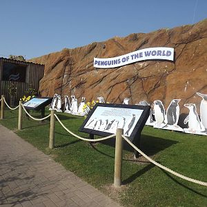 New signage at Blackpool Zoo 25/03/12