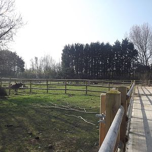 Farm paddocks at Blackpool Zoo 25/03/12