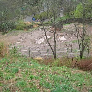Overlook of the Black Rhino Exhibit
