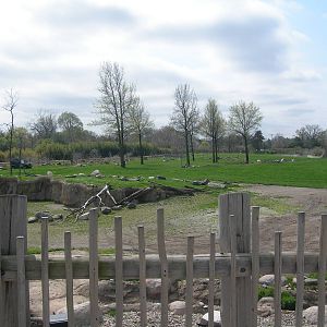 African Savanna Exhibit