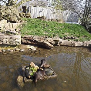 Otter Enclosure at Blackpool Zoo 25/03/12