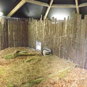 Giant Anteater exhibit at Blackpool Zoo 25/03/12