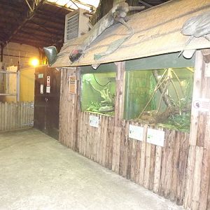 Reptile exhibits at Blackpool Zoo 25/03/12