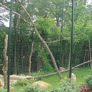 New chinese area - Steller Sea Eagles aviary