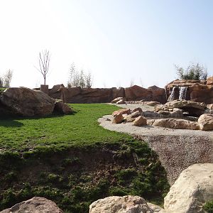 New chinese area - Mishmi Takin exhibit