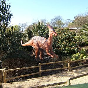 View of Dinosaurs for 2012