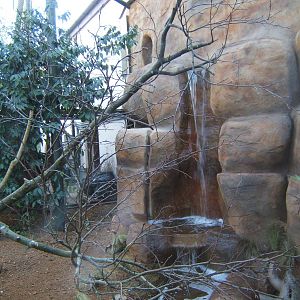 View of refurbed Hyacinth Macaw Aviary