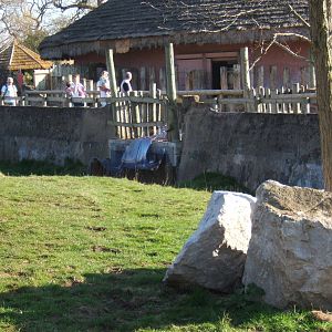 View of new Plastic flaps on the Rhino under pass