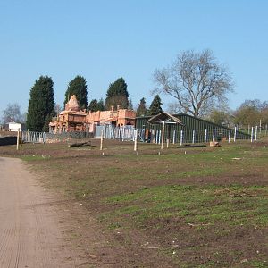 View Indian Rhino House and paddocks
