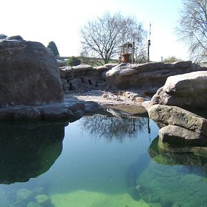 View of Penguin Cove