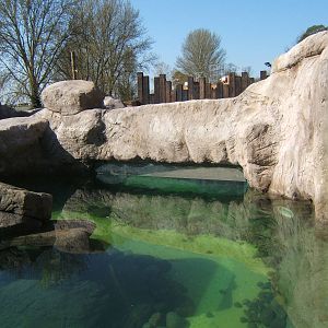 View of Penguin Cove