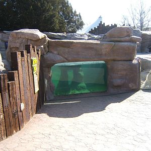 View of Penguin Cove