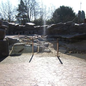 View of Penguin Cove