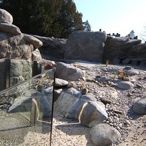 View of Penguin Cove