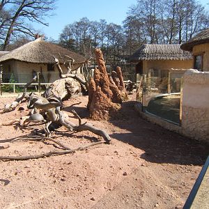 View of Meerkat complex