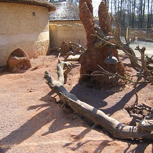 View of Meerkat complex