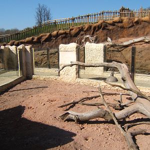 View of Meerkat complex