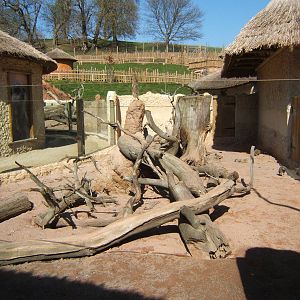 View of Meerkat complex