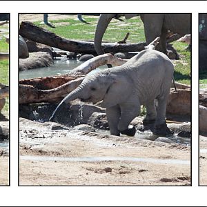 baby crossing stream