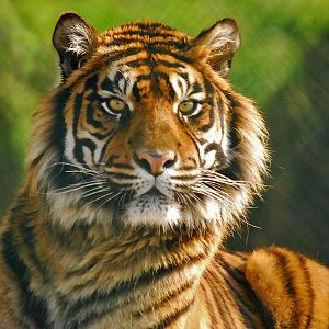 you_got_her_by_demonmoth-d4ubn6z