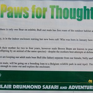 Bear Cub announcement