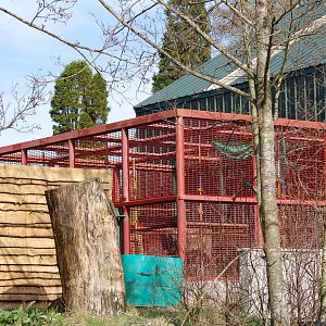 New Outdoor Chimp Exhibit