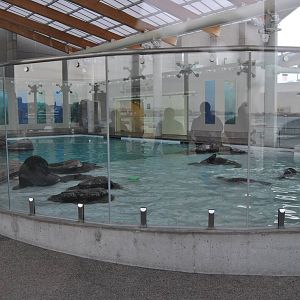 Marine Mammal Center