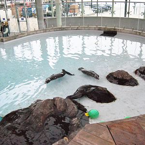Marine Mammal Center