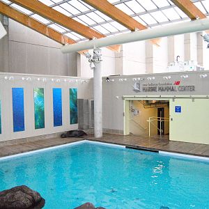 Marine Mammal Center