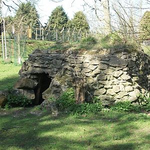 Former Wolves' den 30th March 2012