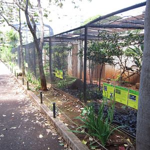 Bird Aviaries