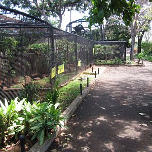 More Bird Aviaries