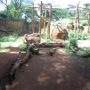 Chimp enclosure