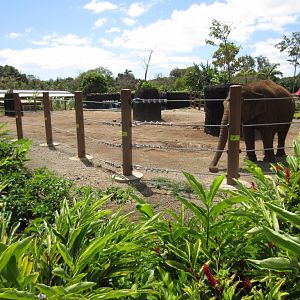 Elephant enclosure