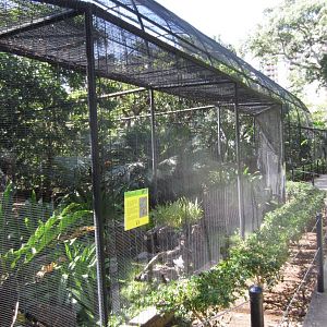 Forest Bird Aviary