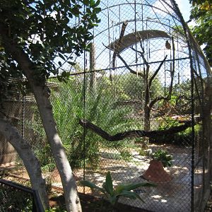 Francois Langur cage