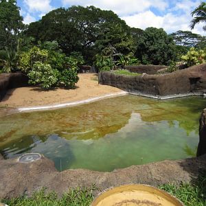 Gharial enclosure