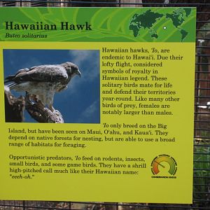 Example of Animal label