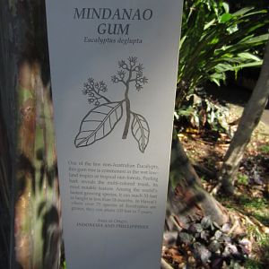 Example of Plant label
