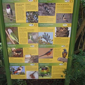 Labels in the African Walkthrough aviary