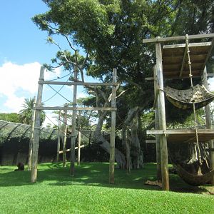 Orang enclosure