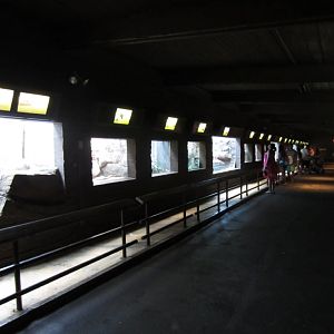 Interior of Reptile House