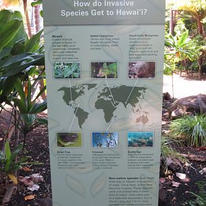 Invasive Species signage