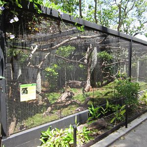 Sloth Aviary
