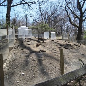 Prairie Dog Exhibit