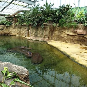 Interior of Hippodom