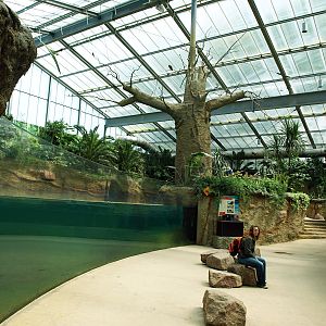 Interior of Hippodom