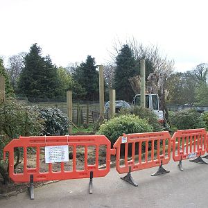 Sewerby Zoo, "Lemur Land" under construction 31st March 2012