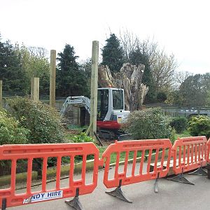 Sewerby Zoo, "Lemur Land" under construction 31st March 2012